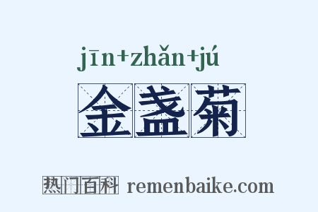金盏菊是什么意思的图片